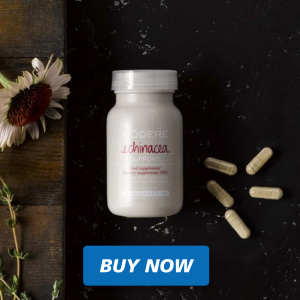 Echinacea